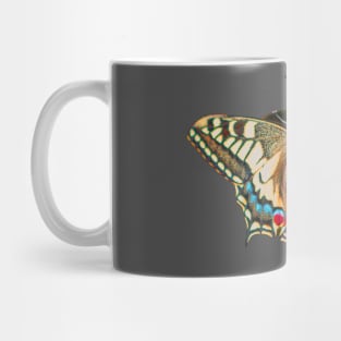 Swallowtail Butterfly Mug